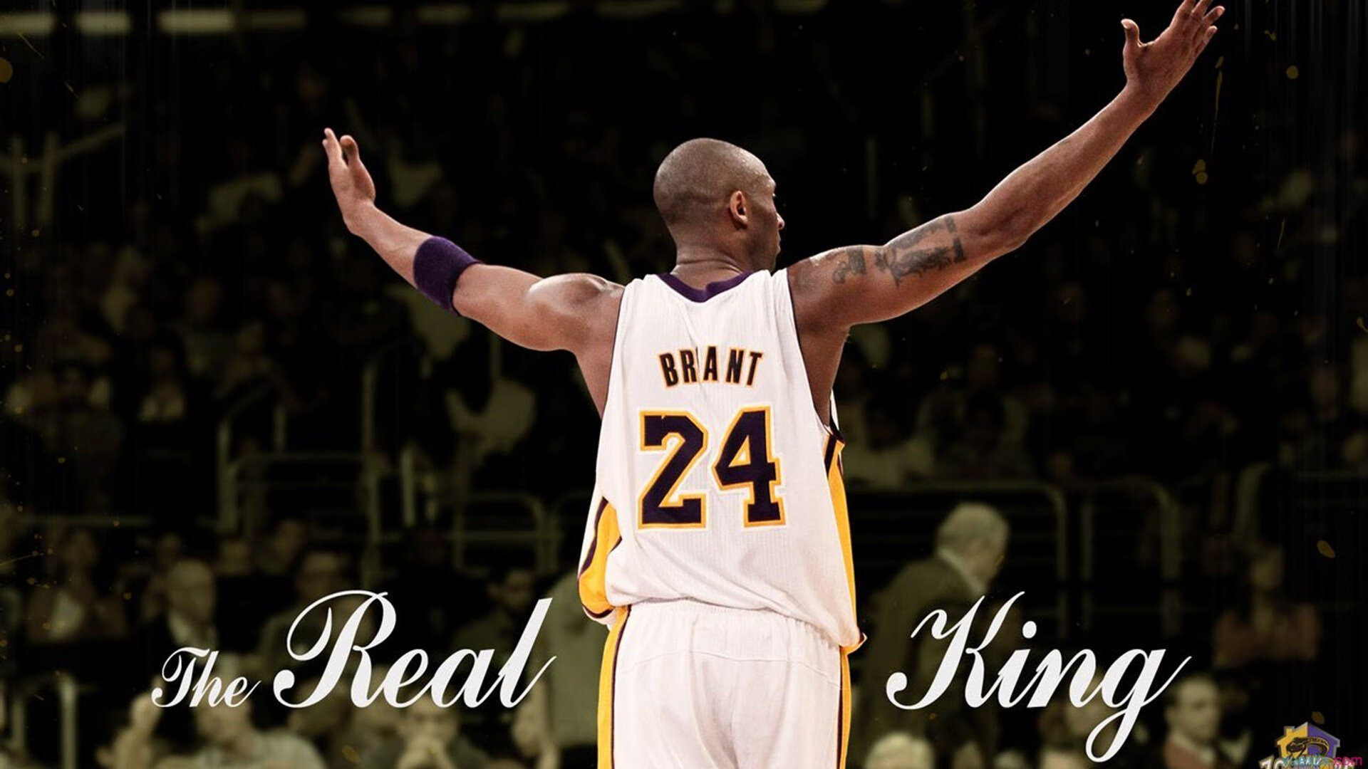 JIUYOU GAMING-扎马莱克连续三场保持零封，防守稳固，gcw扎克莱德